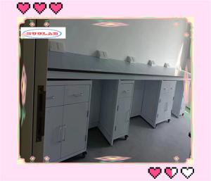 Wholesale Functional Chemistry Lab Bench Lab Workbenches with Stainless Steel Cabinet and Phenolic/Epoxy Resin Top from china suppliers