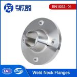 En1092-01 Raised Neck Flange PN 320 Carbon Steel Weld Neck Flanges for Water