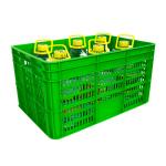 Industrial Harvest Storage Crate Eco-Friendly Plastic Basket for Fruits and