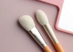 Vonira Beauty Custom Nude Pink Color Basic 10 Pieces Makeup Brushes Collection