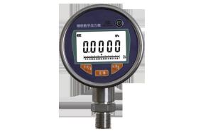 Wholesale 0.6Kg Precision Digital Pressure Gauge Stainless Steel Pressure Gauge With Data Logger from china suppliers