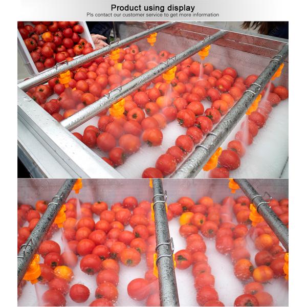 Multifunction Fruit And Vegetable Processing Line Parallel Brush Machine