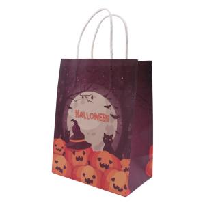 Wholesale Recycled Shopping Paper T Shirt Bags With Paper Twist Rope FSC FDA Certified from china suppliers