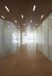 Ceiling Wood Panel Wpc Wpc Ceiling Decoration Wpc Outdoor Ceiling