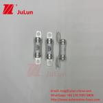 Electric vehicle Excellent DC Performance 30A 20A 500VDC Fuse