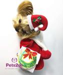 Blueberry Pet Vintage Holiday Christmas Reindeer Dog Sweater - Matching Dog