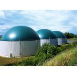 High Safety Performance Anaerobic Digester Tank For Farm Wastewater Treatment