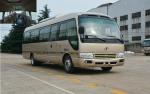 China Luxury Coach Bus Coaster Minibus school vehicle In India