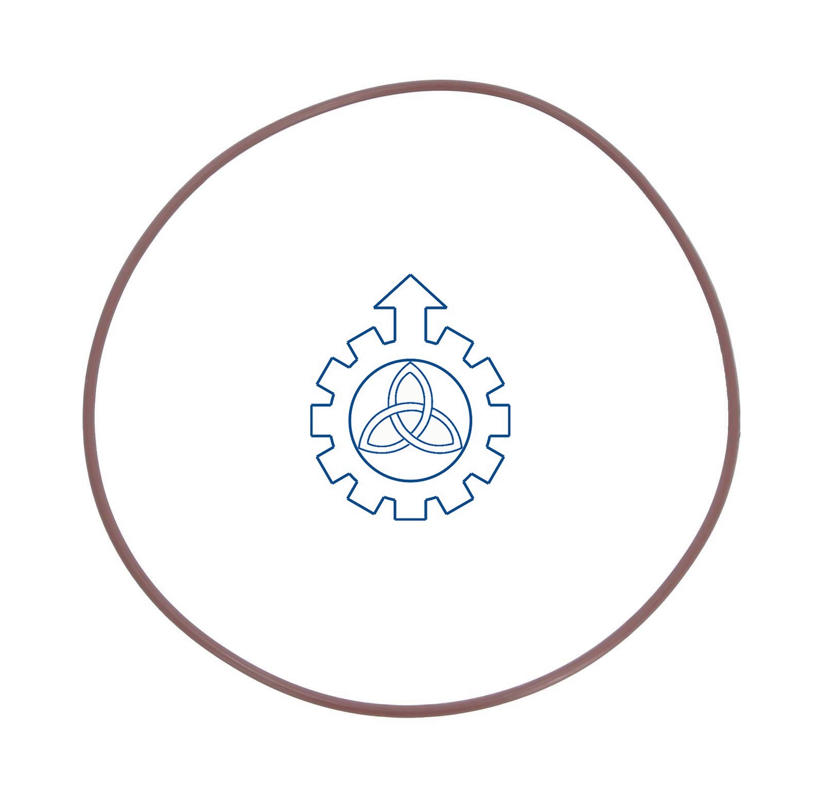 O-ring 42537782,7408171082,8171082
