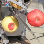 Guava Fixed Material Socket Fruit And Vegetable Peeler Machine Electric 304 SS