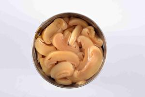 Wholesale Delicious Canned Champignon Mushroom With Rich Nutrition Short Lead Time from china suppliers