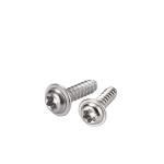 Passivated Stainless Steel Torx Wood Screw cross pan head flat head torx tapping