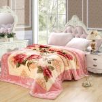 Direct Supply Popular Double Thick Wool Blankets for Autumn Winter Activities