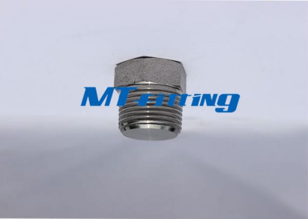 Quality ASTM A182 F304 / 304L / 304H Hex Head Plug Forged High Pressure Pipe Fittings for sale
