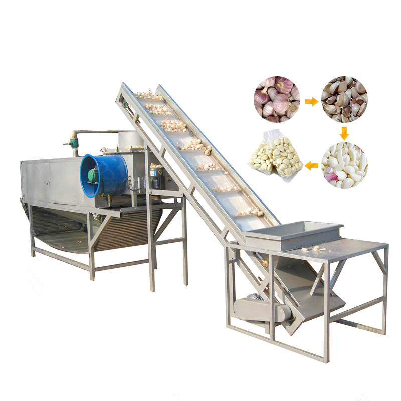 High Speed Fruit Vegetable Processing Machine Ozone Washing Cut Different Shape