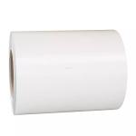 White Color Prepainted Galvalume Steel Coil G550 SGCC For Construction AZ60