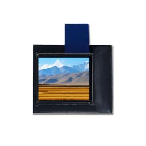 Wholesale 0.6 Inch Small OLED Screen For Wearable Devices from china suppliers
