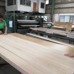 High-End Recon Wood Veneer Natural Walnut Wt-X873n 2850mm Length For Door