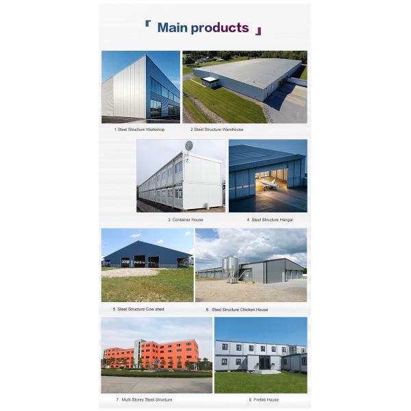 Steel Structure Layer House Customized for Egg Chicken Breeding Fast Installation