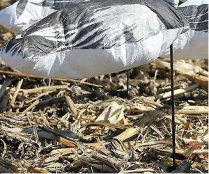 Wholesale NEW WHITE ROCK DECOY COMPANY SNOW GOOSE WIND SOCK DECOYS W/ FEEDER HEADS 1 DOZEN from china suppliers