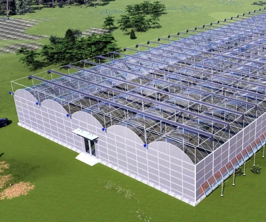 Efficient Water Pipe Agricultural Greenhouse Solution