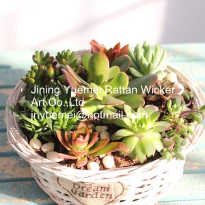 Wholesale 2016 new style wicker garden baskets round shape willow plant basket from china suppliers