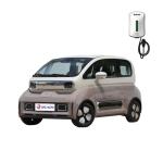 Stylish Wuling Automobile Baojun Kiwi EV 's Hottest Adult Speed Electric Vehicle