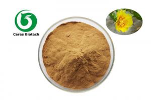 China Health Care Natural Herbal Extract Opuntia Ficus Indica Powder Pharmaceutical Grade on sale
