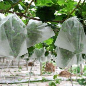 Wholesale Anti Virus Defense Material S SS Non Woven Spunbond Fabric With Custom Options from china suppliers