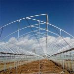 Hot Dip Galvanized Steel Pipe Green House Hothouse Ventilated Plastic Sawtooth