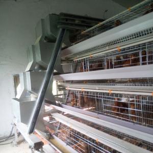 Wholesale Laying Eggs Hens Chicken Cage Domestic Bird For Hens Hot Dipped Galvanised from china suppliers
