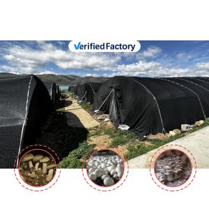 Wholesale Galvanized Steel Frame Mushroom Farm Greenhouse with Plastic Film and Shade Net Cove from china suppliers