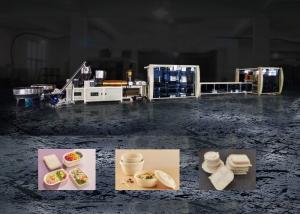 Wholesale Disposable Fast Food Container Machine Equipment 60 Mode Min from china suppliers
