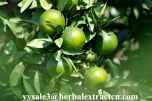Wholesale NHDC(Neohesperidin Dihydrochalcone) sweenteners, herbal extract manufacture exporter from china suppliers