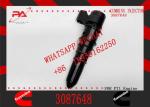 fuel injector 3087648