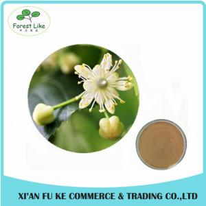 Wholesale High Quality Lemon Balm (Melissa Officinalis) Extract powder from china suppliers