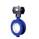 ASME B16.1 Double Flange PN16 Double Eccentric Motorized Butterfly Valve