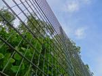 Home Garden 50x100mm Double Wire Mesh Fencing Powder Coated