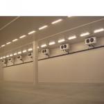 Small Cold Storage Room Commercial PU/PIR Panels Production Nature Cam Lock