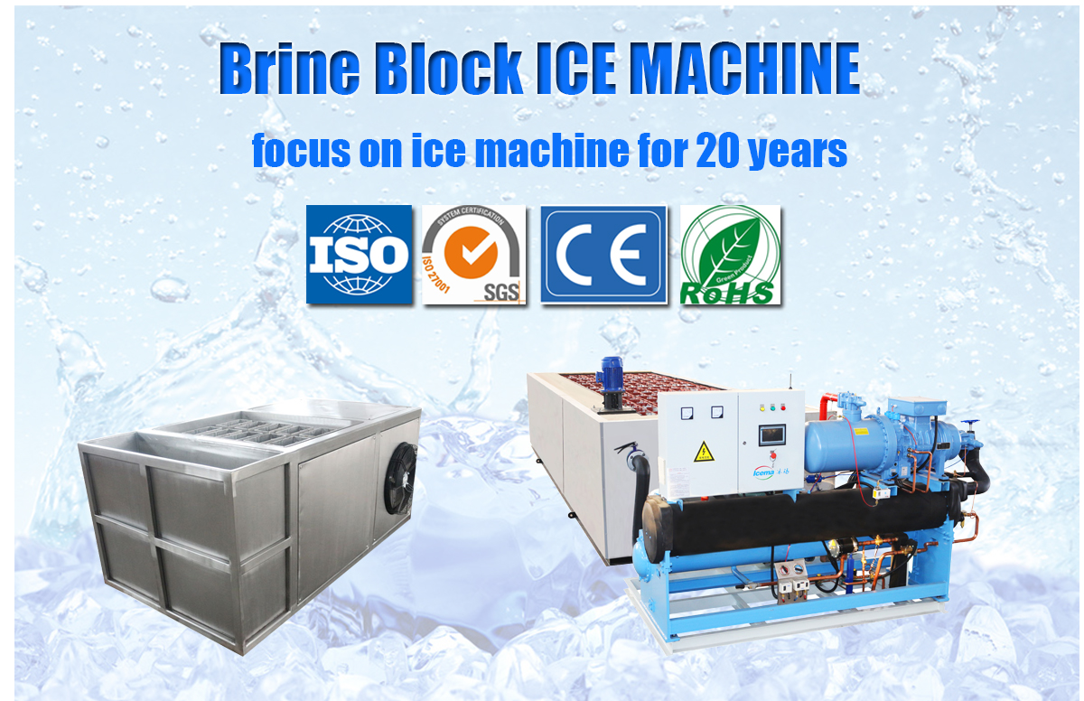 Mini Ice Plant 1 Ton Compact Ice Block Machine with Schneider Electric Components