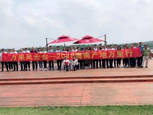 Wholesale The Plantation Visit for Investment and Buying for Buyers and Traders from china suppliers