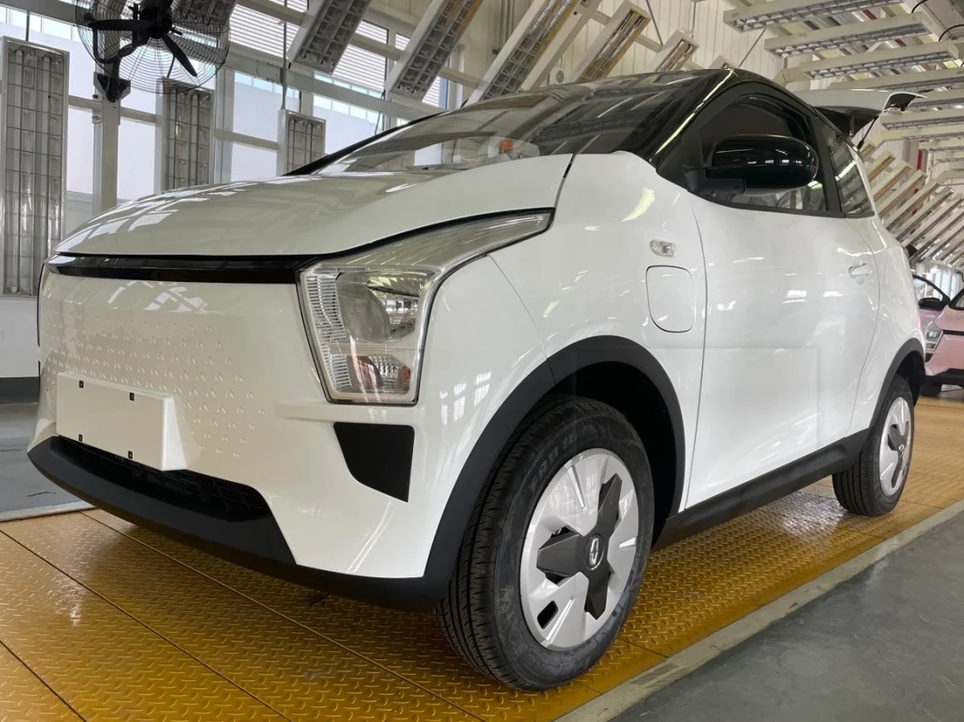 China Raysince New Model 25kw Motor 3 Door Electric Car 4 Seat Mini Electric Car for Adult