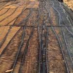 50m Length PP HDPE Uniaxial Geogrid for Minimalist Design Style in Durable