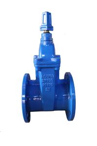 Wholesale 616-f BS resilent gate valve from china suppliers