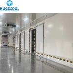 Production Customizable Industrial Cold Room Blast Freezer for Meat Fish Beef