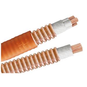 Exceptional High Temperature Cable for Optimal Heat Resistance