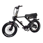 2022 Electric Fat Tyre Bike Mountain Adult Electric Bicycle 20 Inch Wheel Size 7