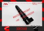 fuel injector 3087648