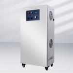5G/H 7G/H Water Purification Water Ozone Generator For Water Disinfection