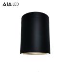 IP65 led surface mounted downlight 30W led down light &exterior downlight for